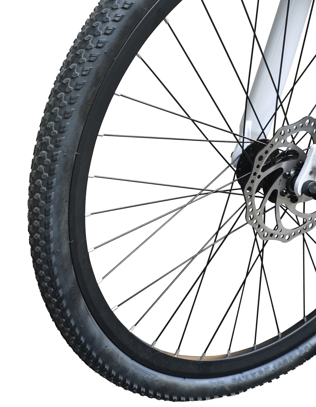 26-inch 4G All-Terrain E-Bike |2602W4G