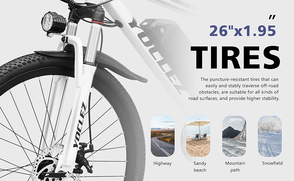 Electric Bike